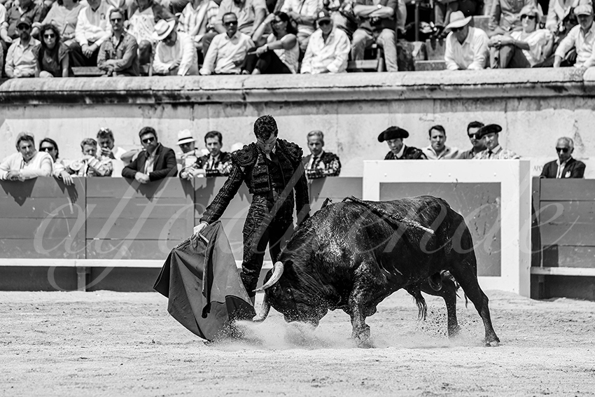20250608 nimes 008
