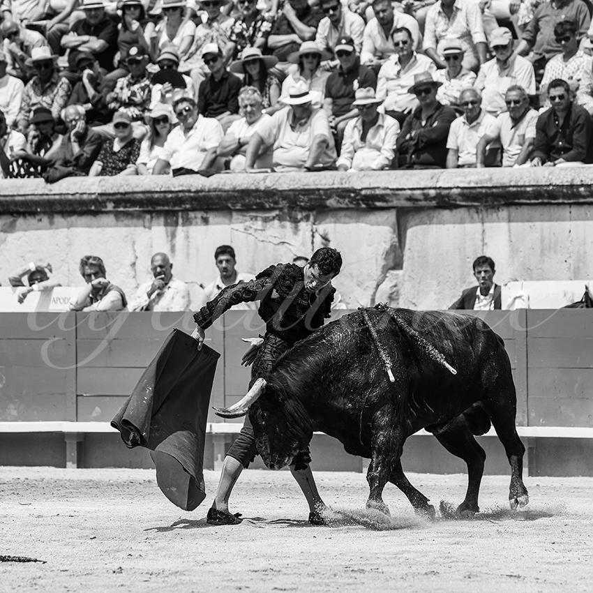 20250608 nimes 007