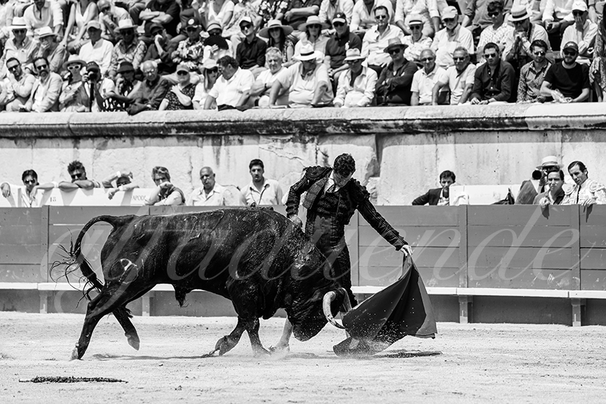 20250608 nimes 006