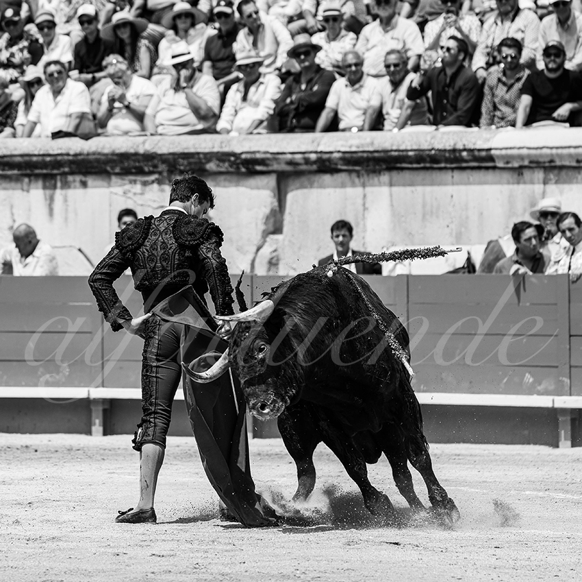 20250608 nimes 005