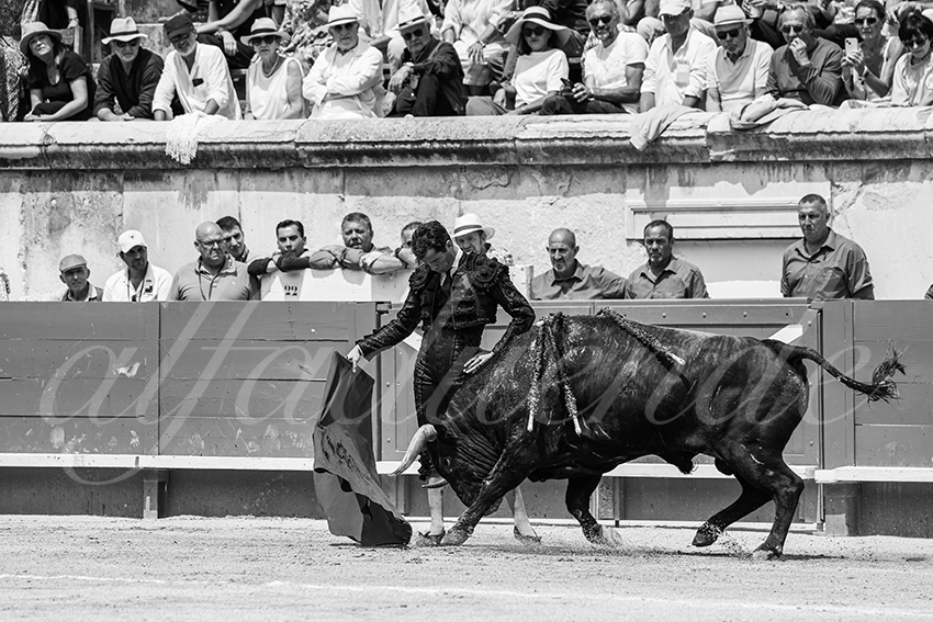 20250608 nimes 004