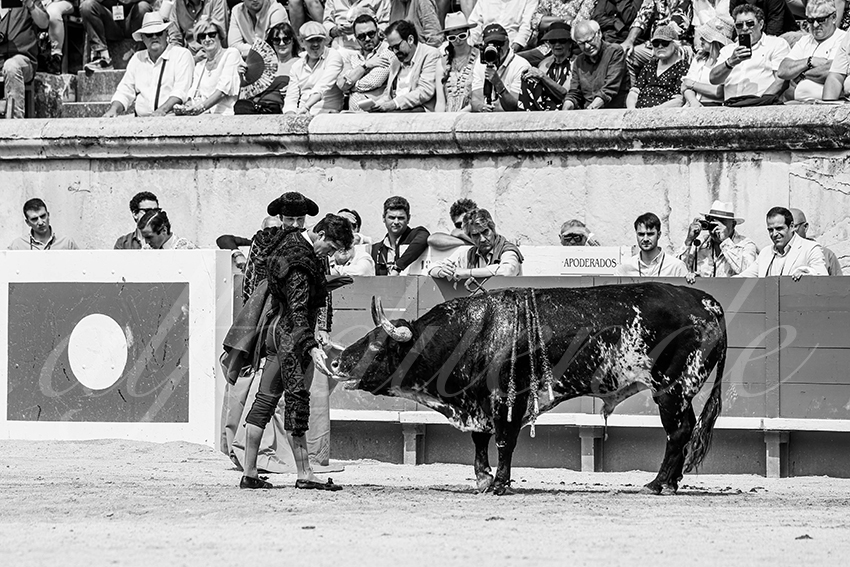 20250608 nimes 003