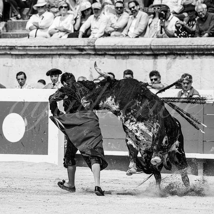 20250608 nimes 002