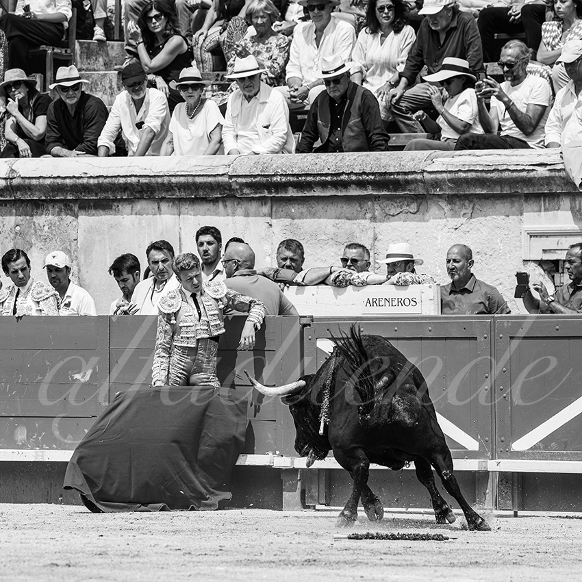 20250608 nimes 022