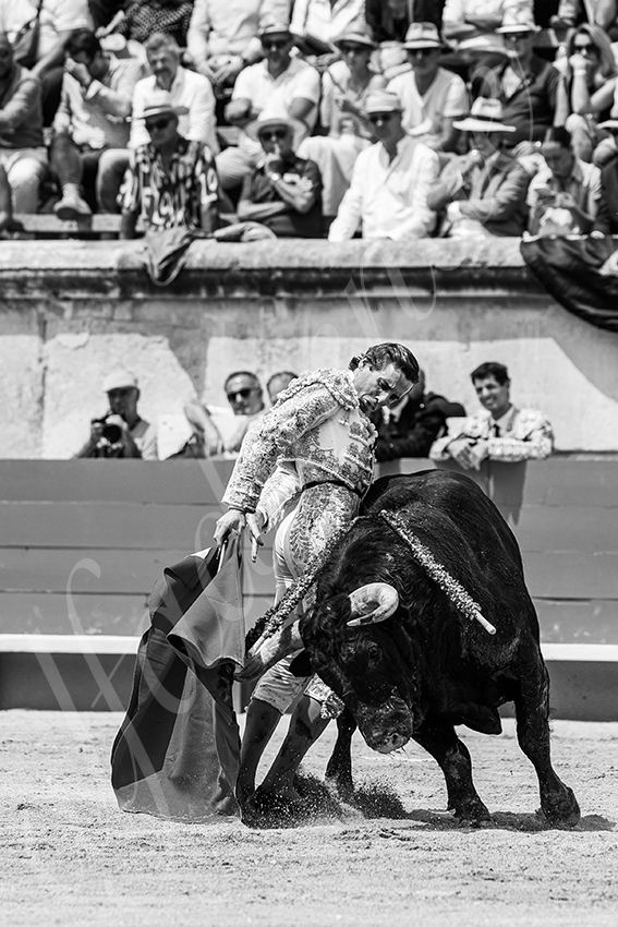 20250608 nimes 019