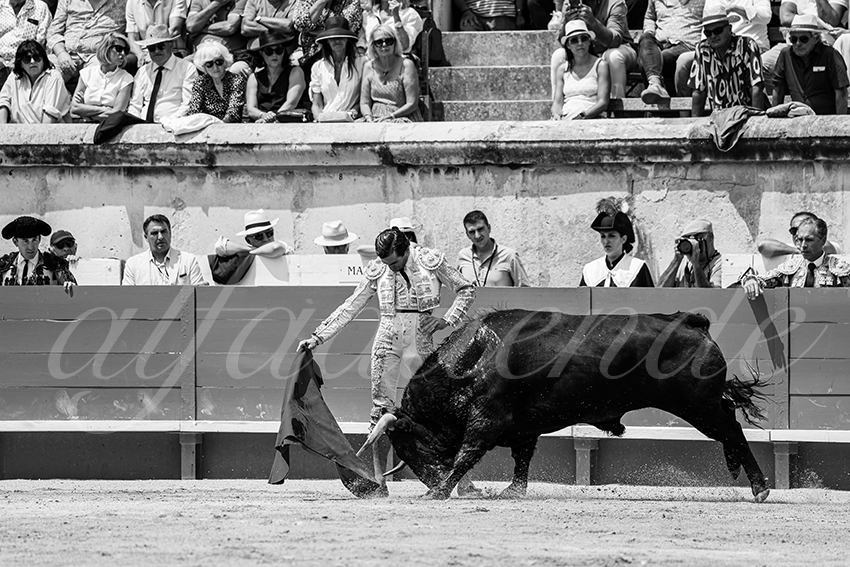 20250608 nimes 018