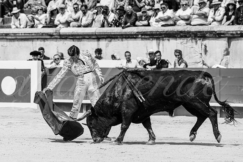 20250608 nimes 017
