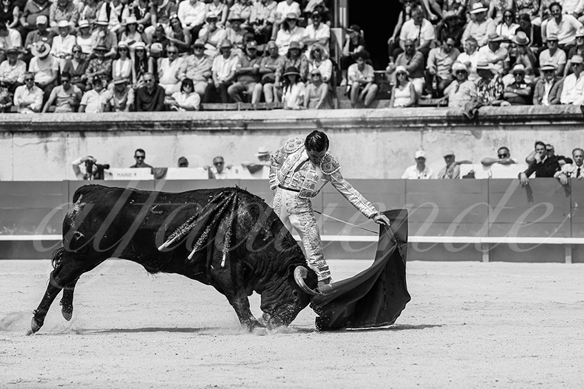 20250608 nimes 016
