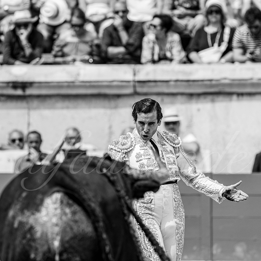 20250608 nimes 015
