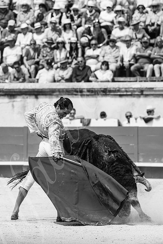 20250608 nimes 014