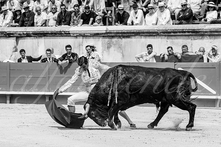 20250608 nimes 013