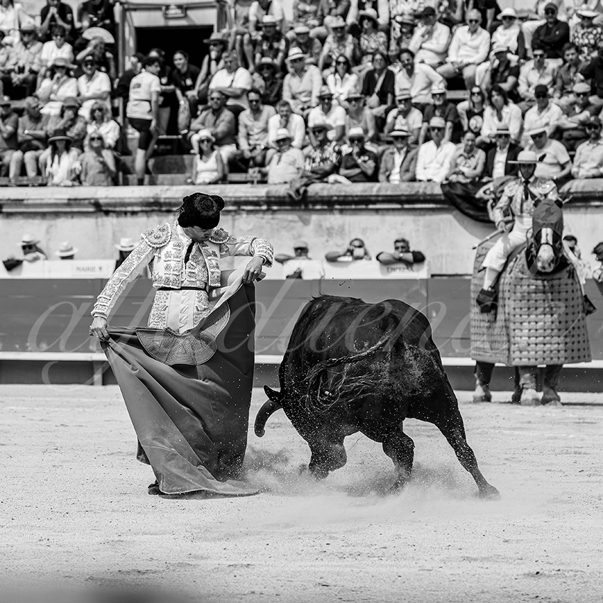 20250608 nimes 012