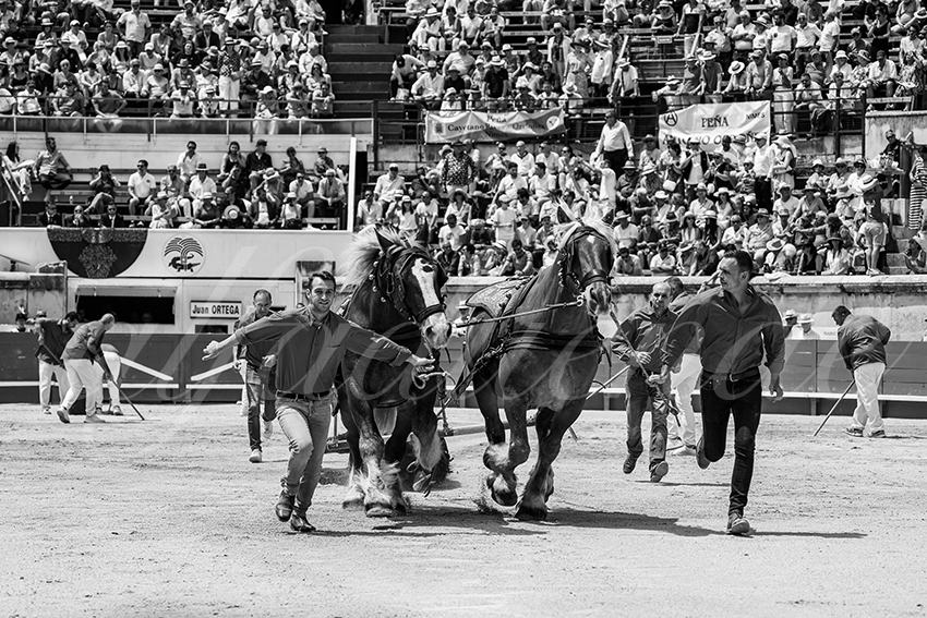 20250608 nimes 038