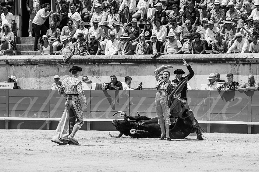 20250608 nimes 037