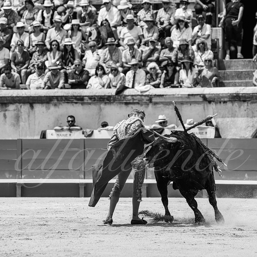 20250608 nimes 035