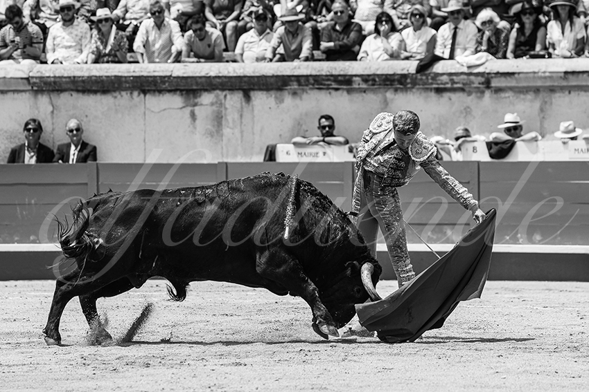 20250608 nimes 034
