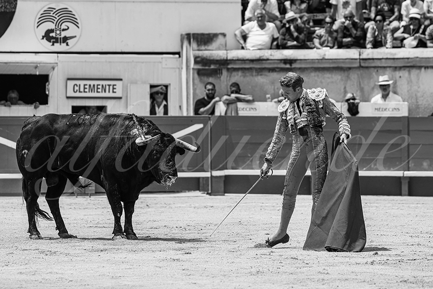 20250608 nimes 033