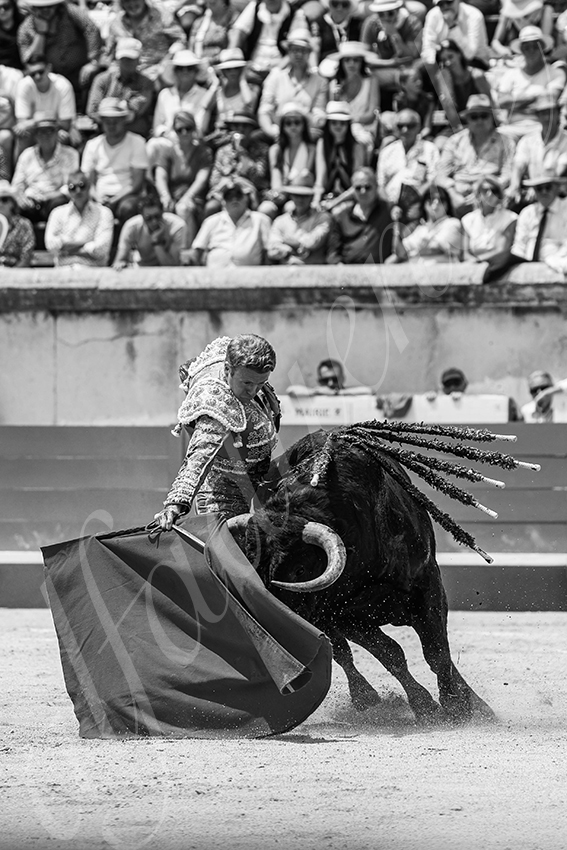 20250608 nimes 032