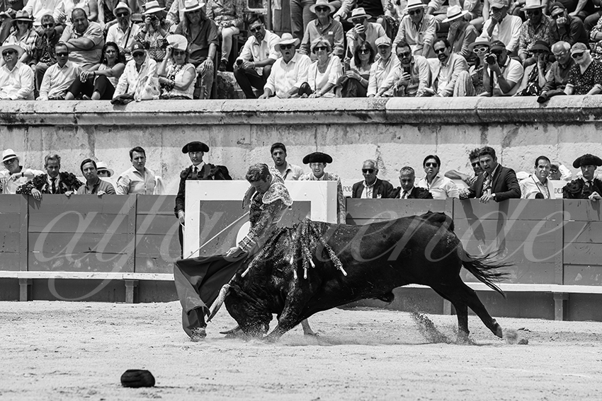 20250608 nimes 031