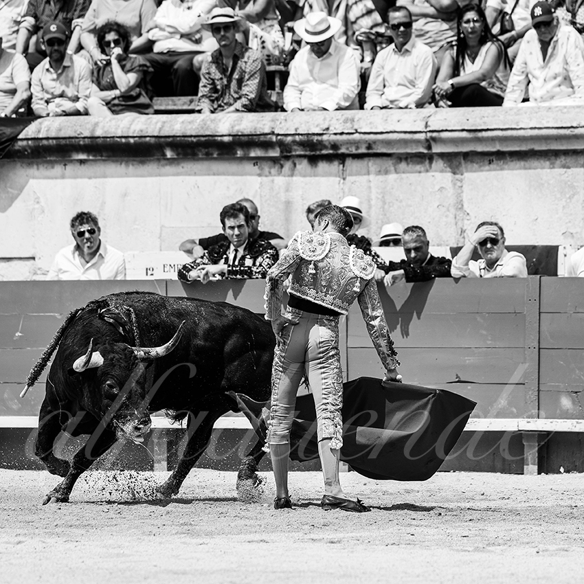 20250608 nimes 028