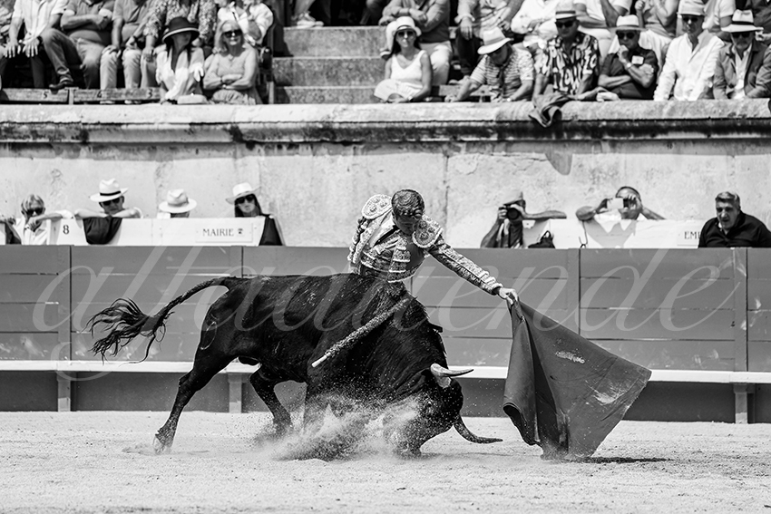 20250608 nimes 027