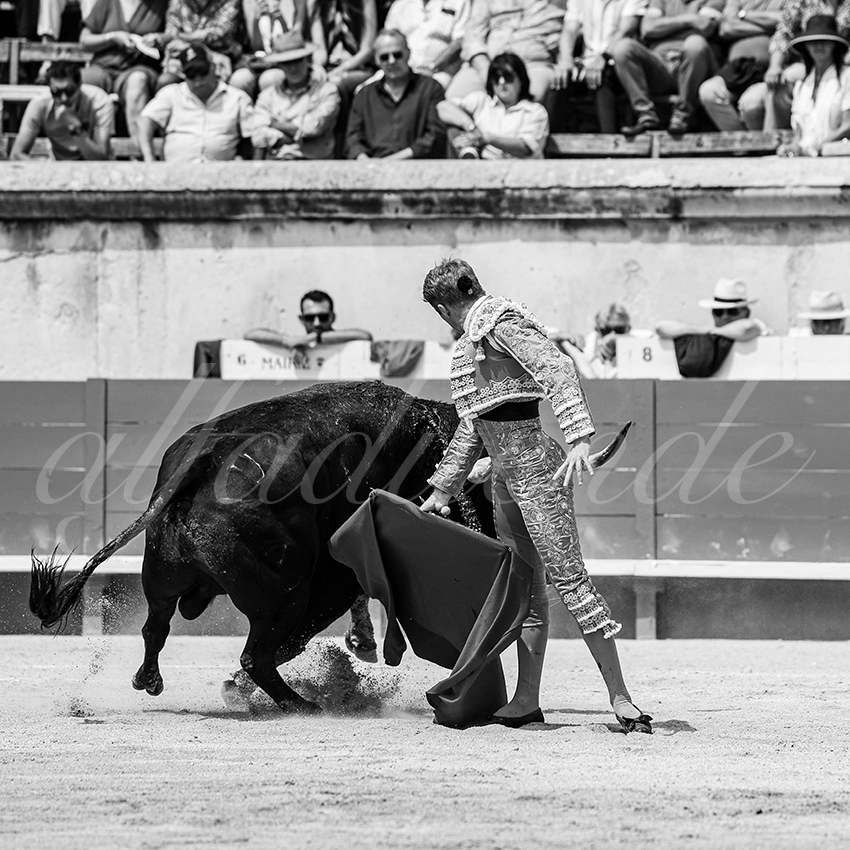 20250608 nimes 026