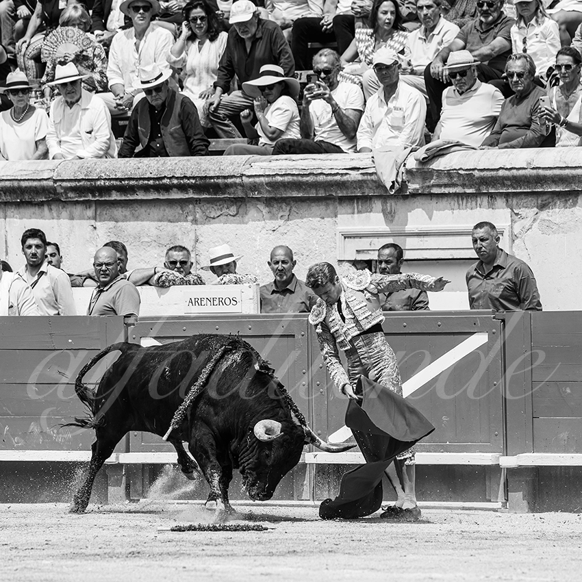 20250608 nimes 025