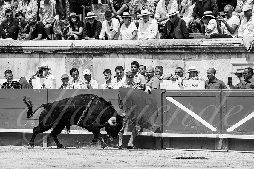 20250608 nimes 024