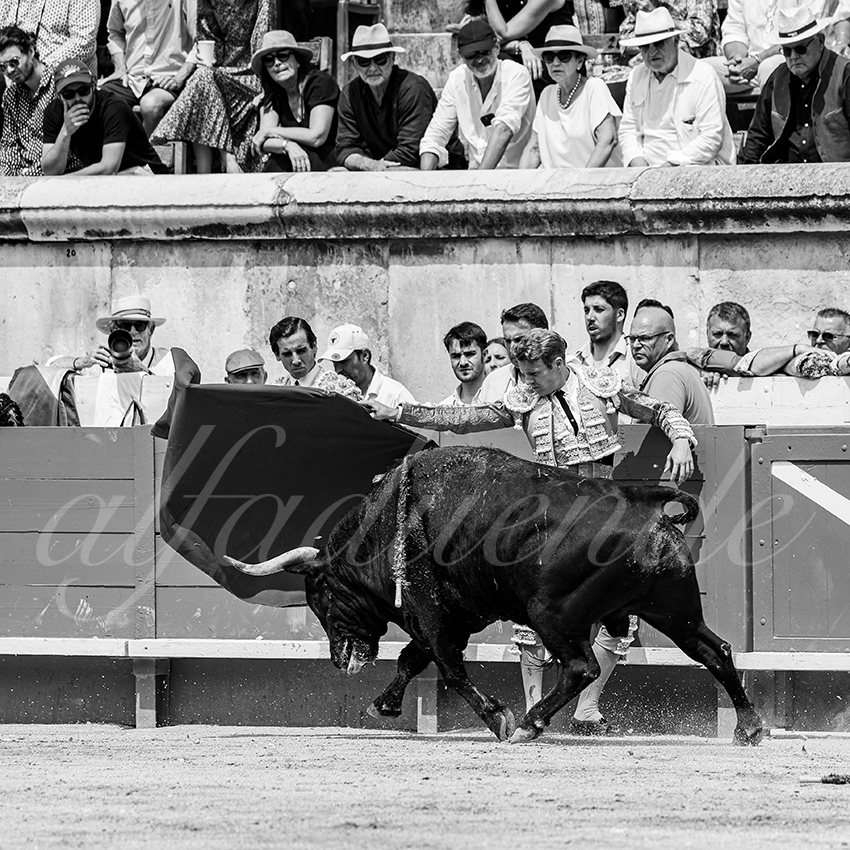 20250608 nimes 023