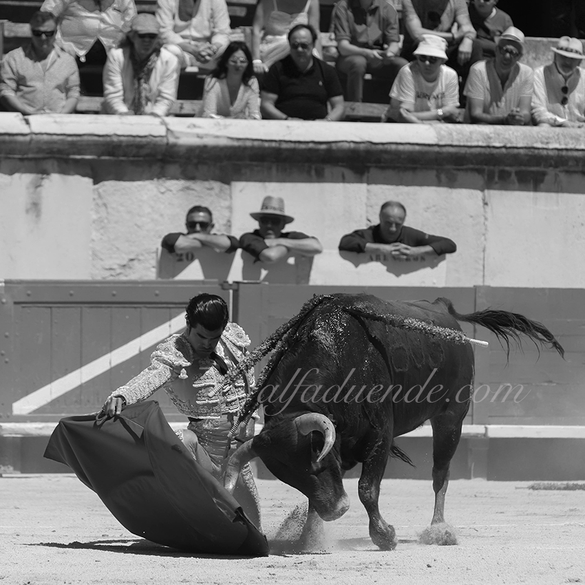 Img 6915 nimes06082019matin 07