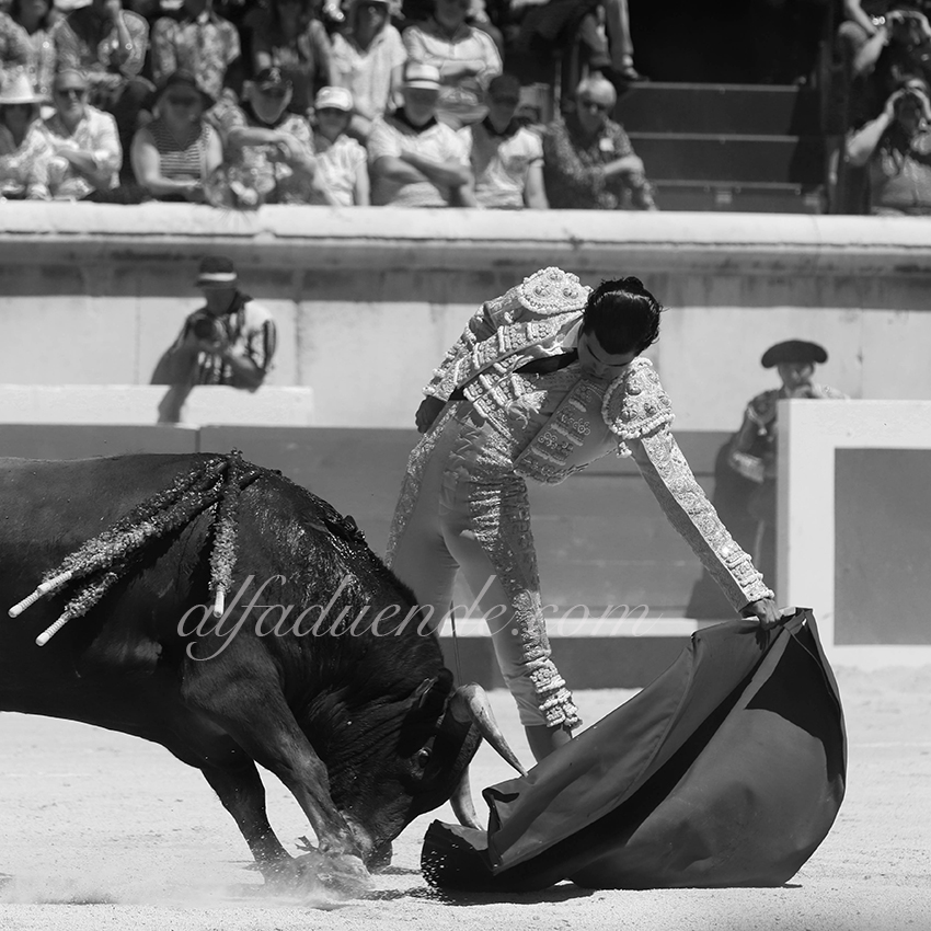 Img 6924 nimes06082019matin 08