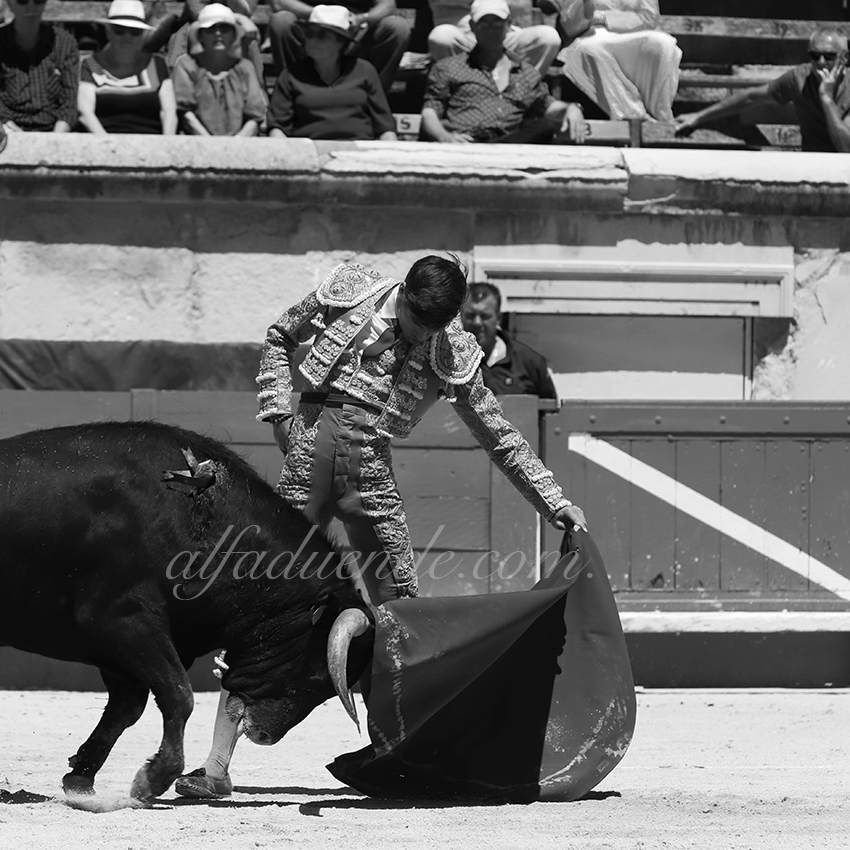 Img 7202 nimes06082019matin 12