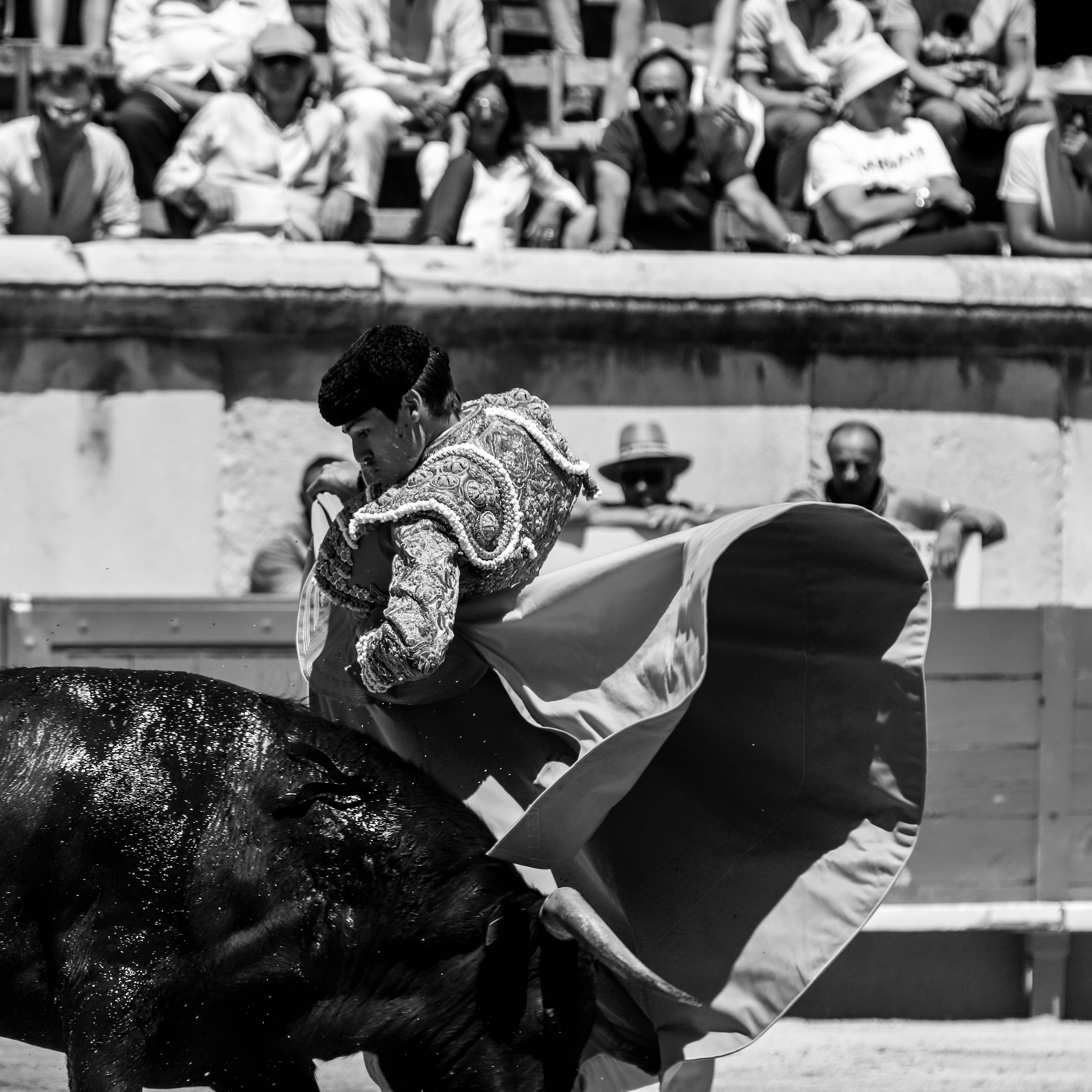 Img 7556 nimes06082019matin 10