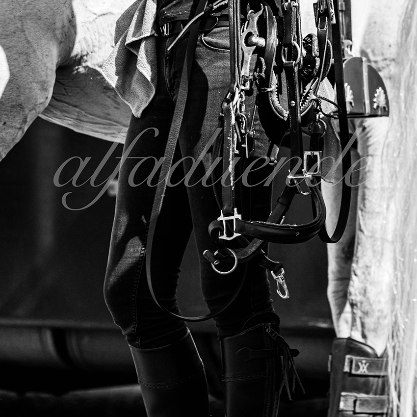 Nimes 20210917 alfaduende rejoneo 001 fd