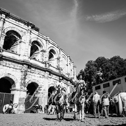 Nimes 20210917 alfaduende rejoneo 002 fd