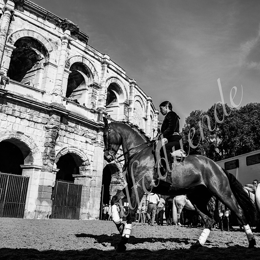 Nimes 20210917 alfaduende rejoneo 003 fd