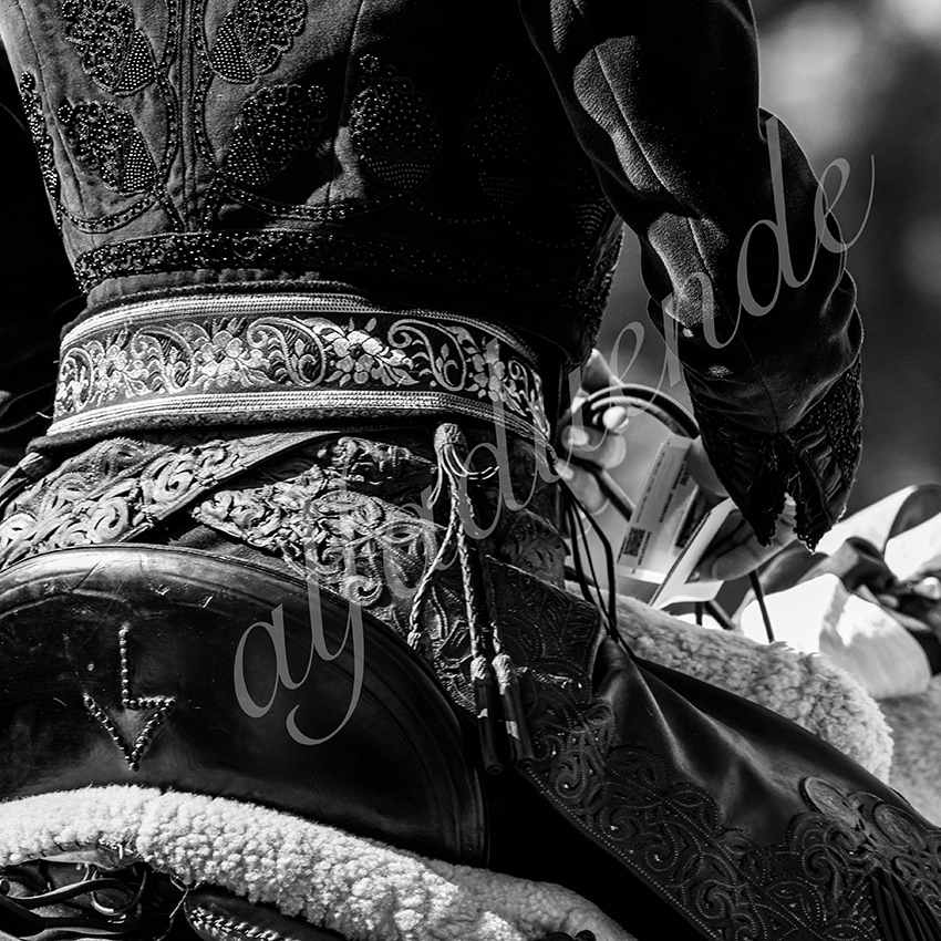 Nimes 20210917 alfaduende rejoneo 004 fd