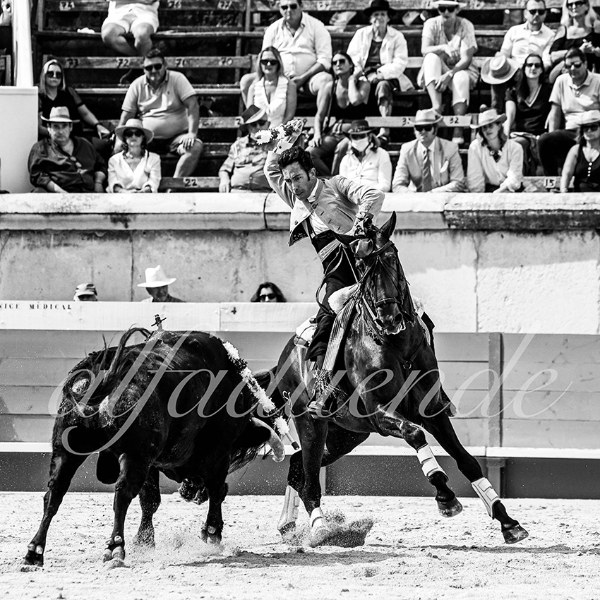 Nimes 20210917 alfaduende rejoneo 008 fd