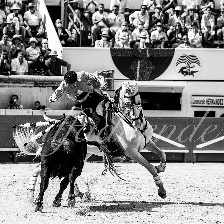 Nimes 20210917 alfaduende rejoneo 010 fd