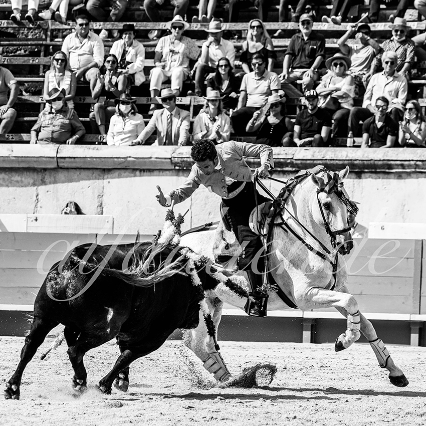 Nimes 20210917 alfaduende rejoneo 011 fd