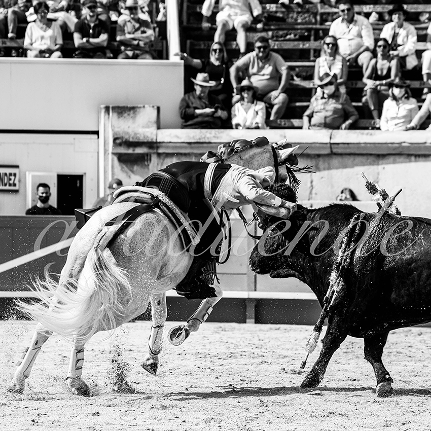 Nimes 20210917 alfaduende rejoneo 012 fd