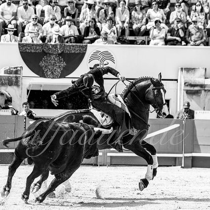 Nimes 20210917 alfaduende rejoneo 013 fd