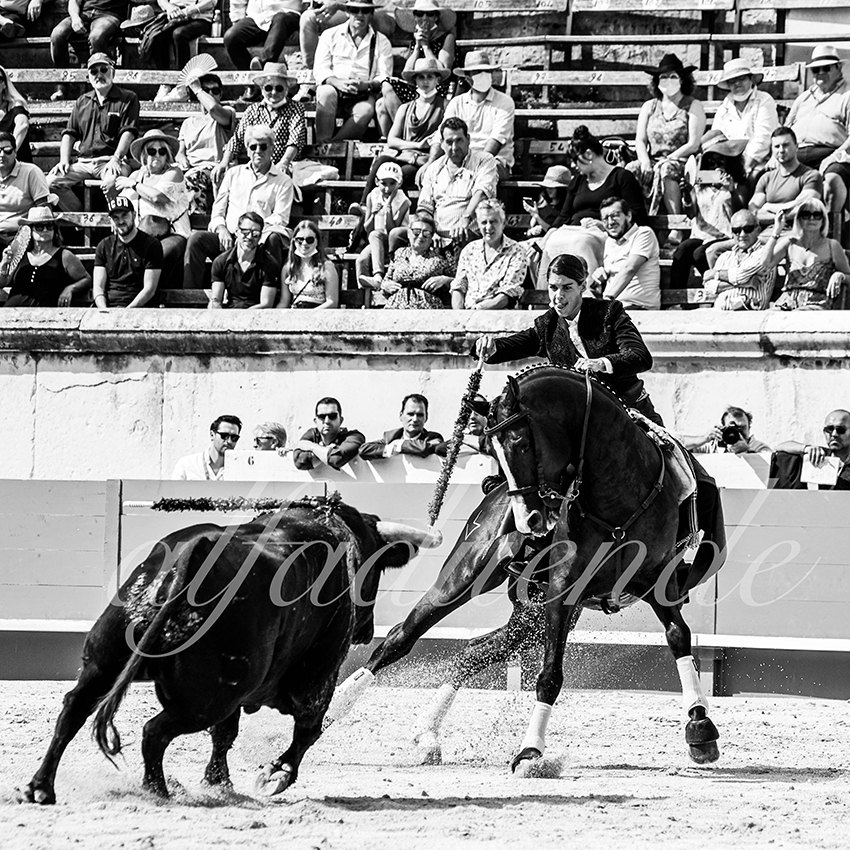 Nimes 20210917 alfaduende rejoneo 014 fd