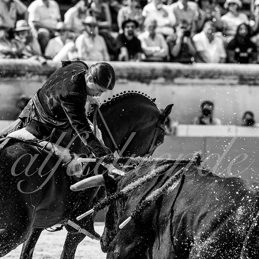 Nimes 20210917 alfaduende rejoneo 015 fd