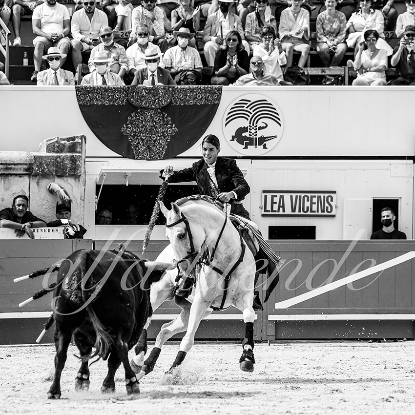 Nimes 20210917 alfaduende rejoneo 016 fd