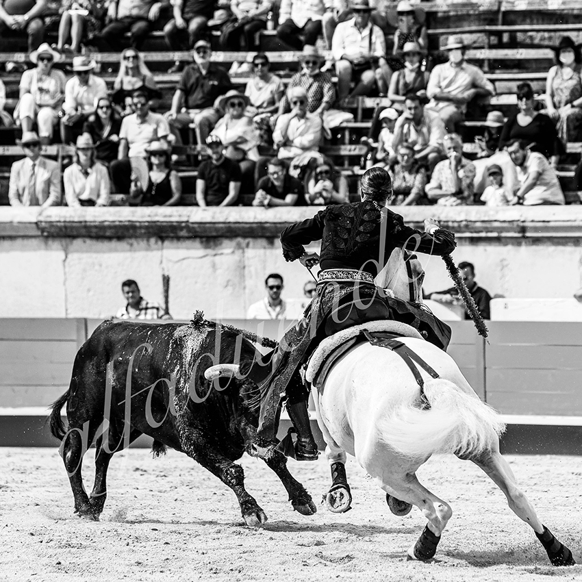 Nimes 20210917 alfaduende rejoneo 017 fd