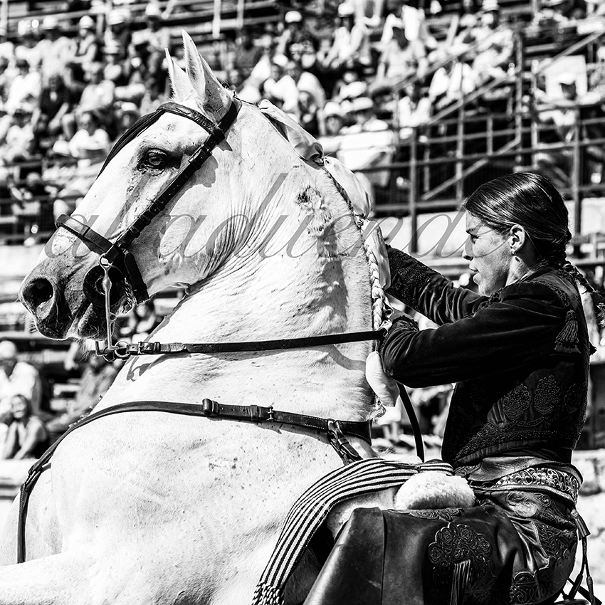 Nimes 20210917 alfaduende rejoneo 019 fd