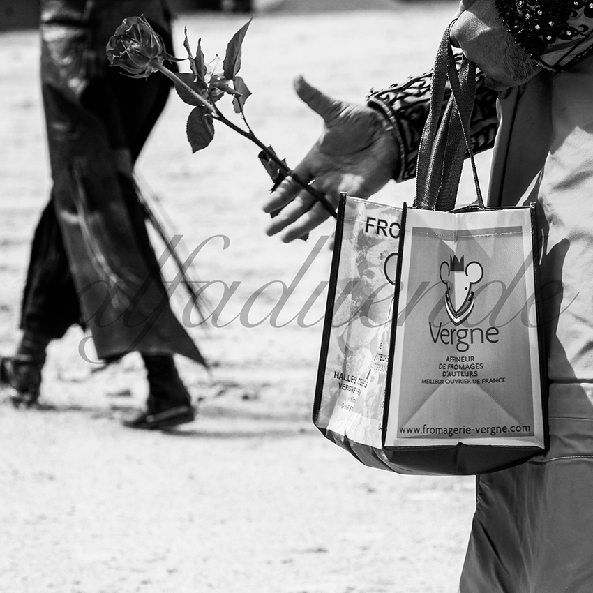 Nimes 20210917 alfaduende rejoneo 020 fd