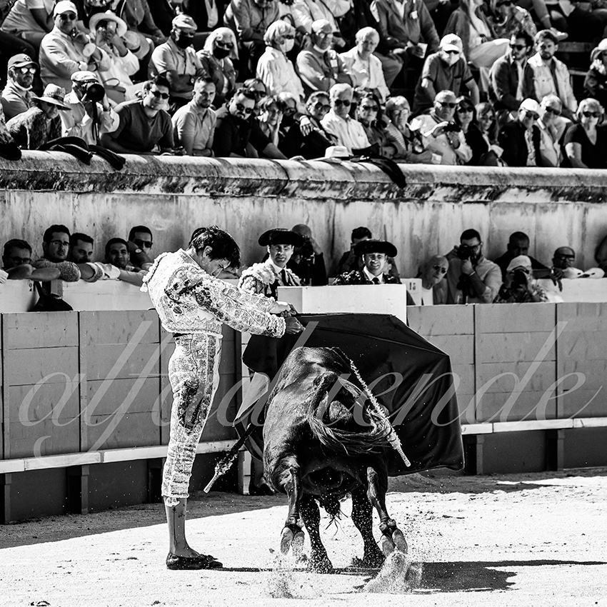 Nimes 20210919 matin alfaduende 002 fd