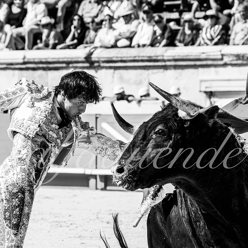 Nimes 20210919 matin alfaduende 003 fd